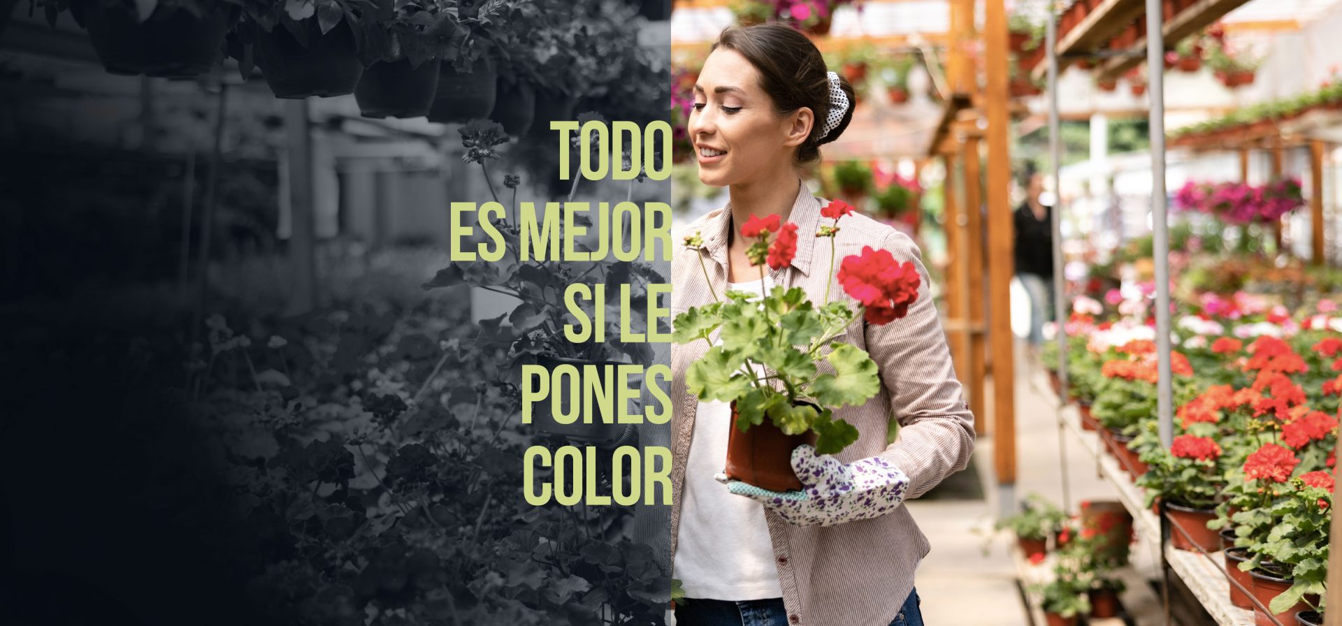 Creativos de Colombia